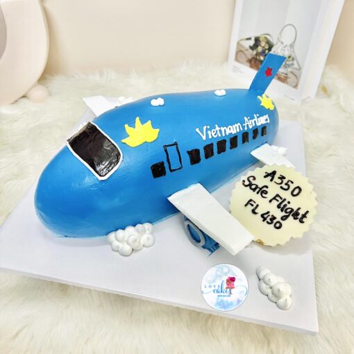 Bánh sinh nhật máy bay vietnam airlines