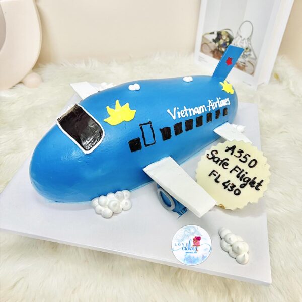 Bánh sinh nhật máy bay vietnam airlines