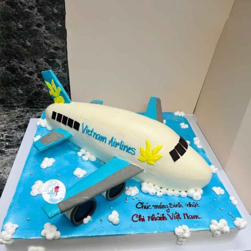 Bánh sinh nhật mô hình máy bay size to