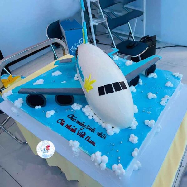 Bánh sinh nhật máy bay công ty hang không