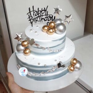 Bánh sinh nhật 2 tầng tông đơn giản